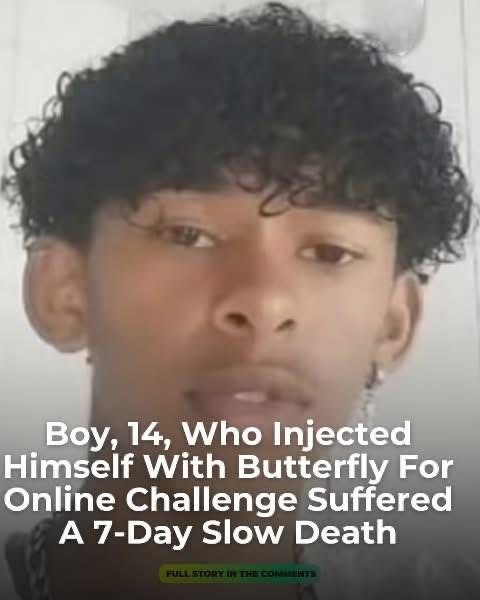 Boy, 14, who injected himself with butterfly for online challenge suffered a 7-day slow death