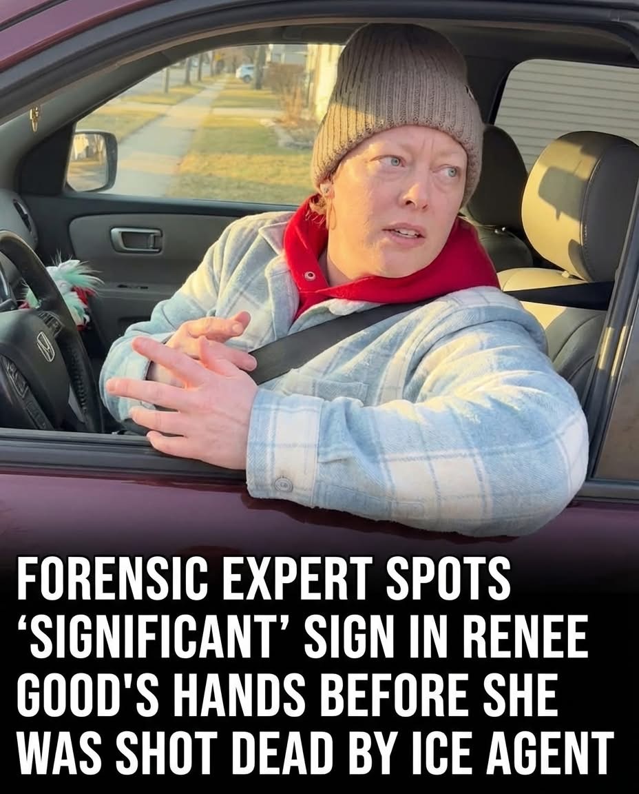 Forensic Analyst Highlights Important Detail in Renee Good Footage Before Fatal Minneapolis Shooting