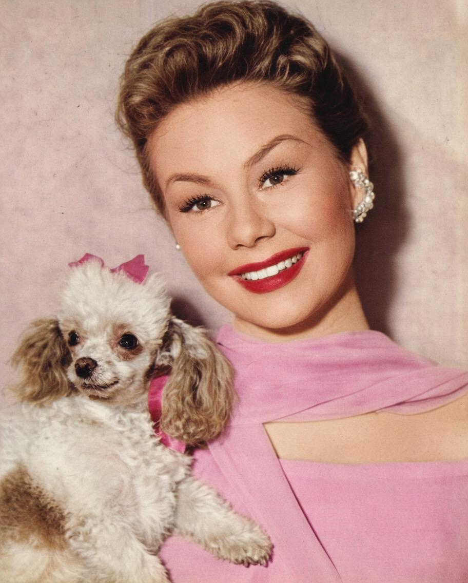 LEGENDARY HOLLYWOOD MUSICAL STAR HAS PASSED AWAY – END OF AN ICONIC ERA