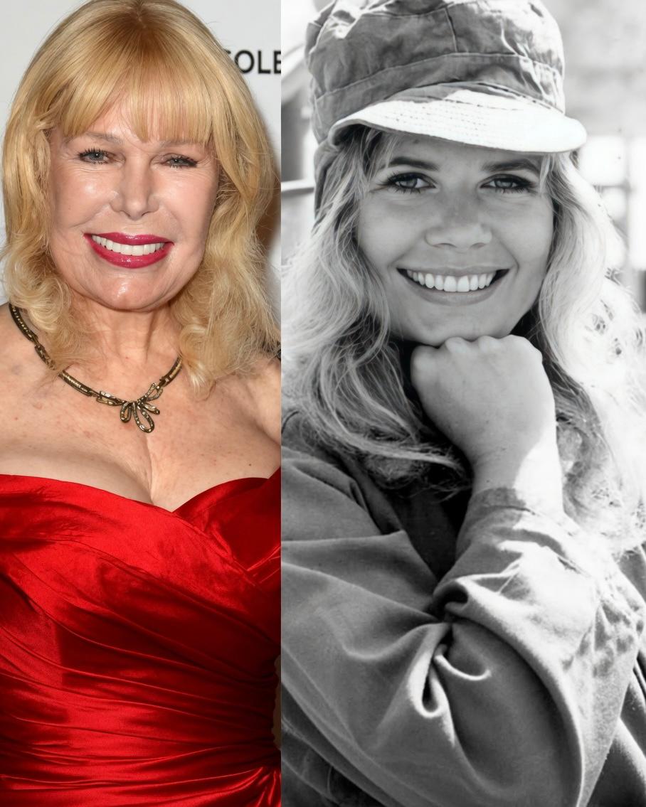 A Television Icon Bids Farewell, Leaving Behind a Legacy That Changed Entertainment Forever