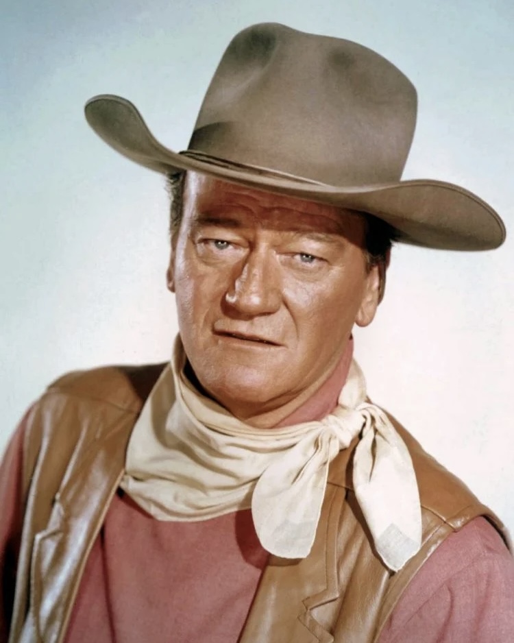 47 Years Later, the Hollywood Legend Who Defined an Era Is Still Impossible to Forget